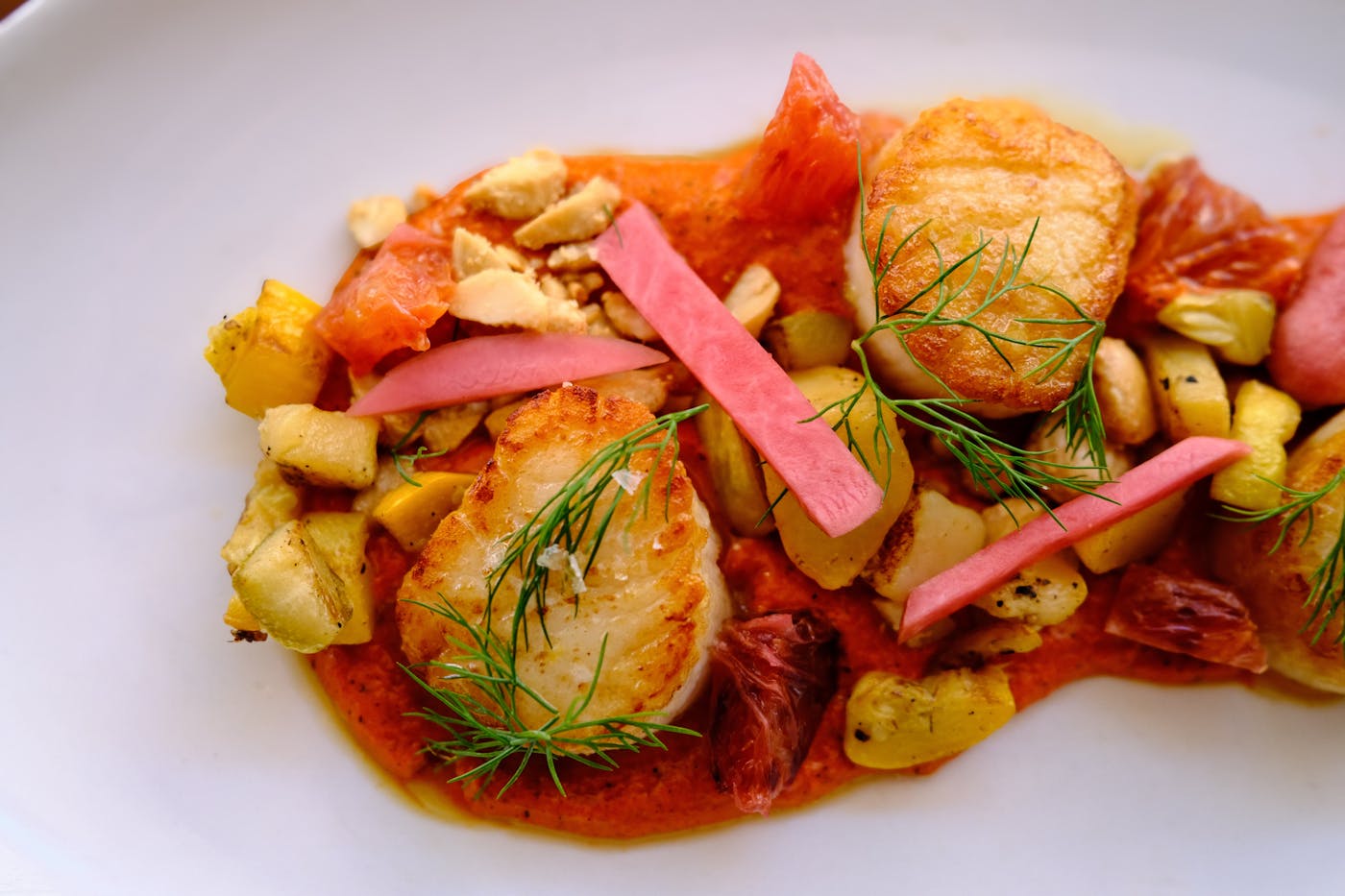 Seared scallops with grapefruit, pickled radish and dill plated at Orchard City Kitchen.